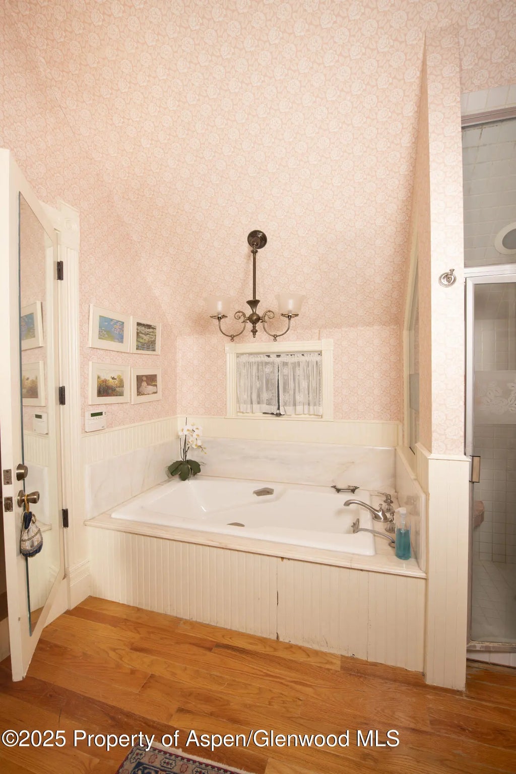 13 of 28 - 715 W Smuggler Street, Aspen, CO