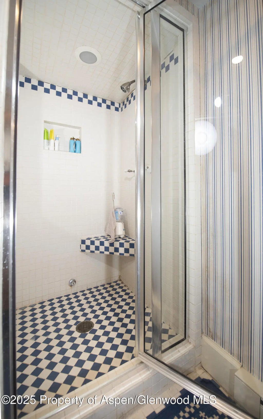 22 of 28 - 715 W Smuggler Street, Aspen, CO