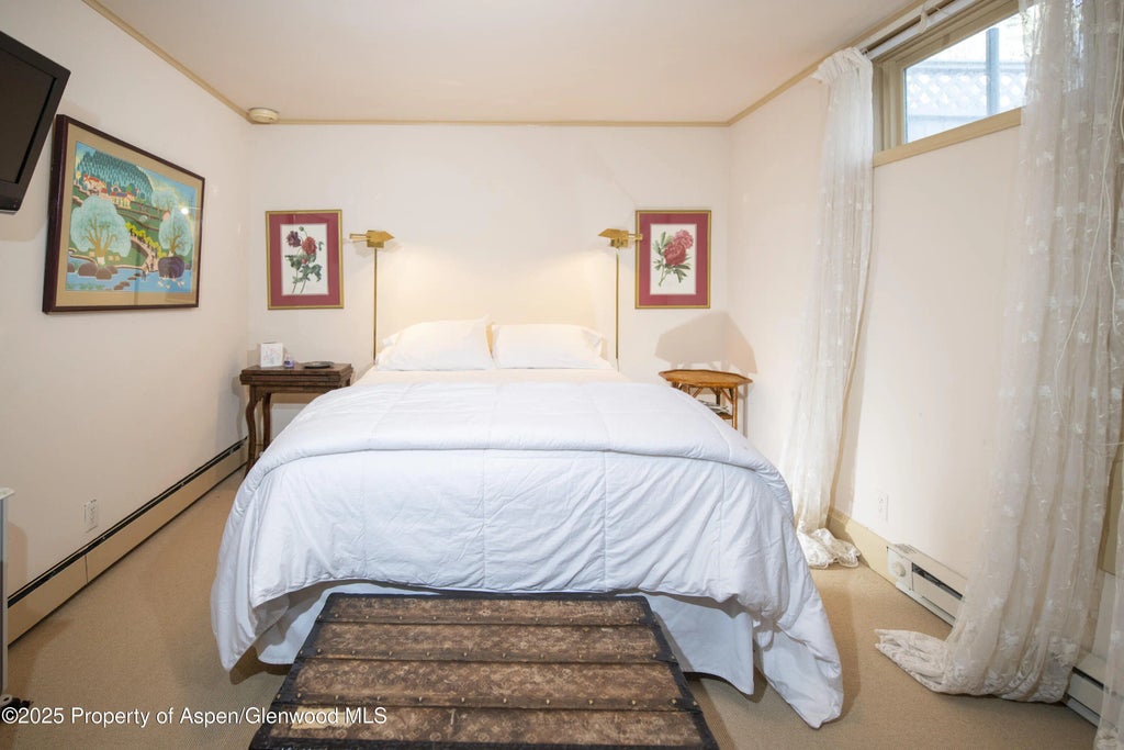 23 of 28 - 715 W Smuggler Street, Aspen, CO