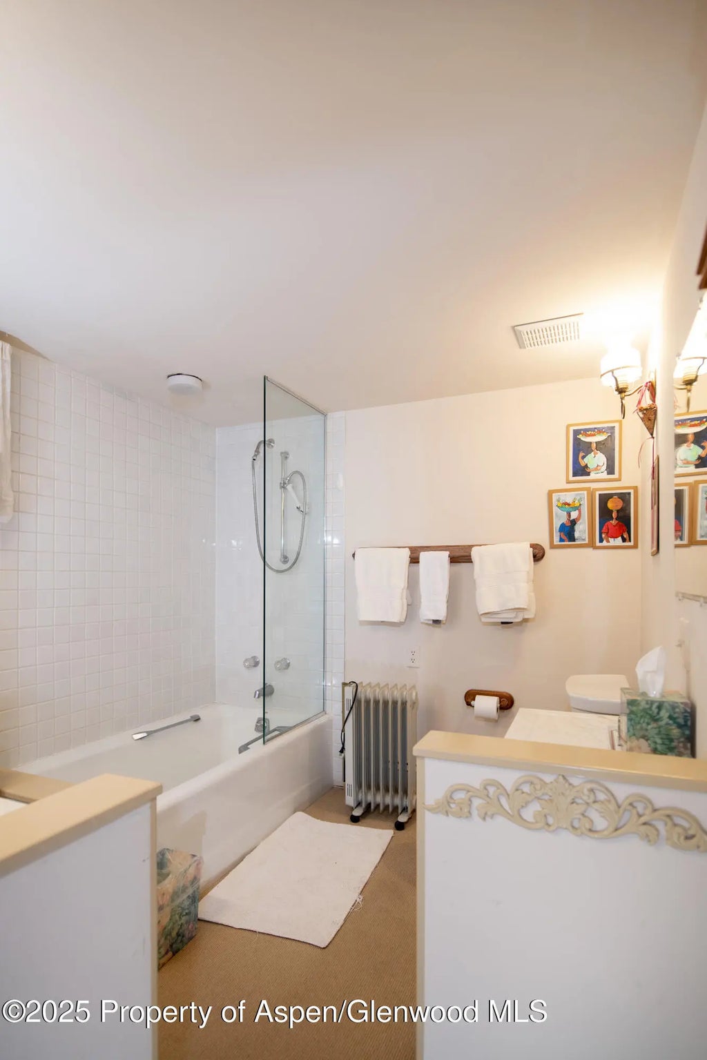 24 of 28 - 715 W Smuggler Street, Aspen, CO