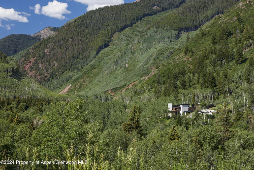 17 of 21 - 255 Conundrum Creek Road, Aspen, CO