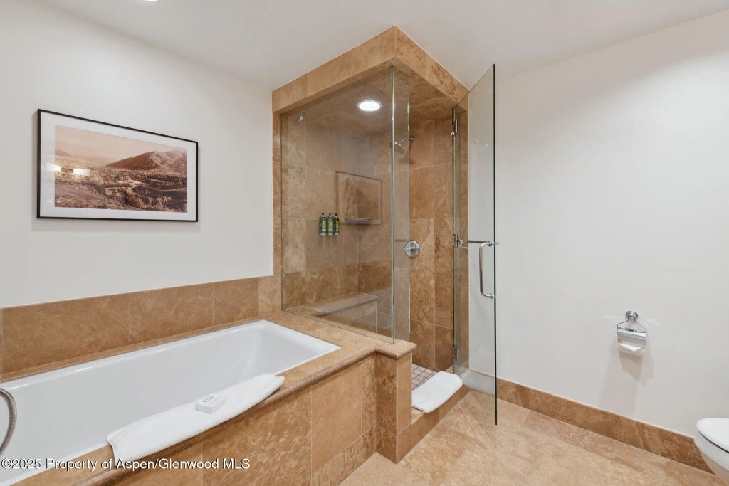 23 of 35 - 415 E Dean St, Unit 38, Week 33, Aspen, CO