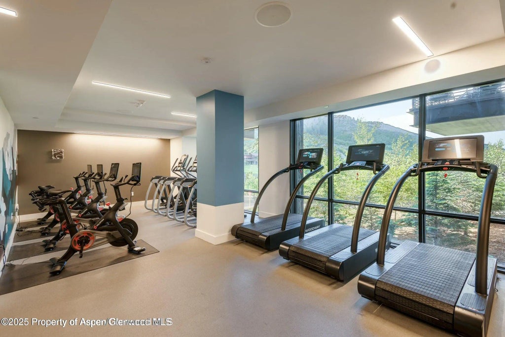 28 of 34 - 119 Wood Road 101, Snowmass Village, CO