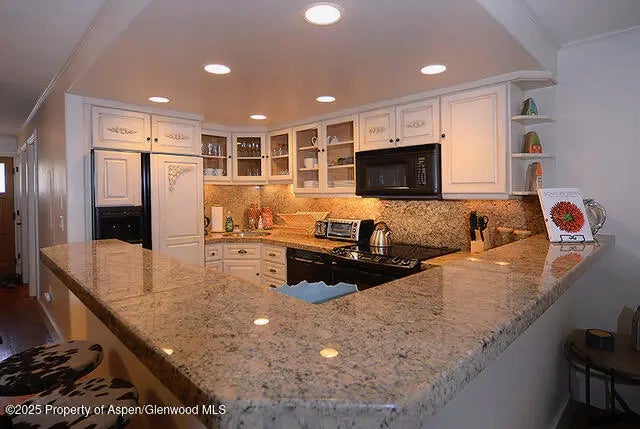 800 E Hopkins Avenue A-1, Aspen