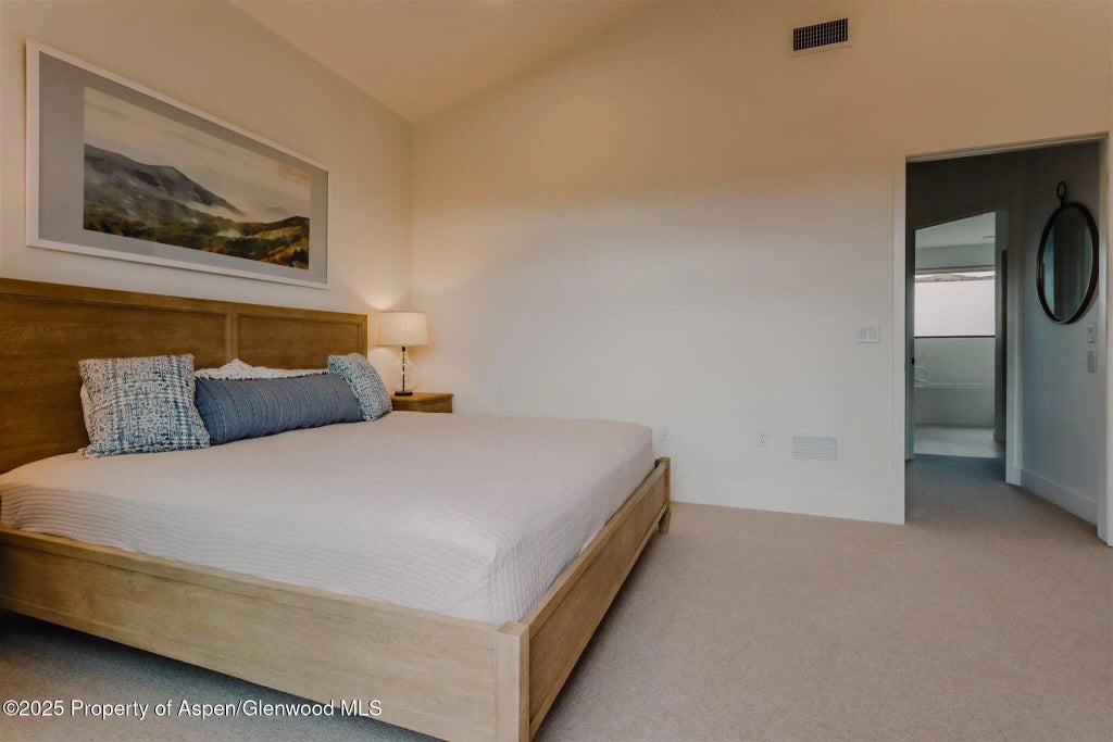 28 of 62 - 220 E Lewis Lane, Basalt, CO