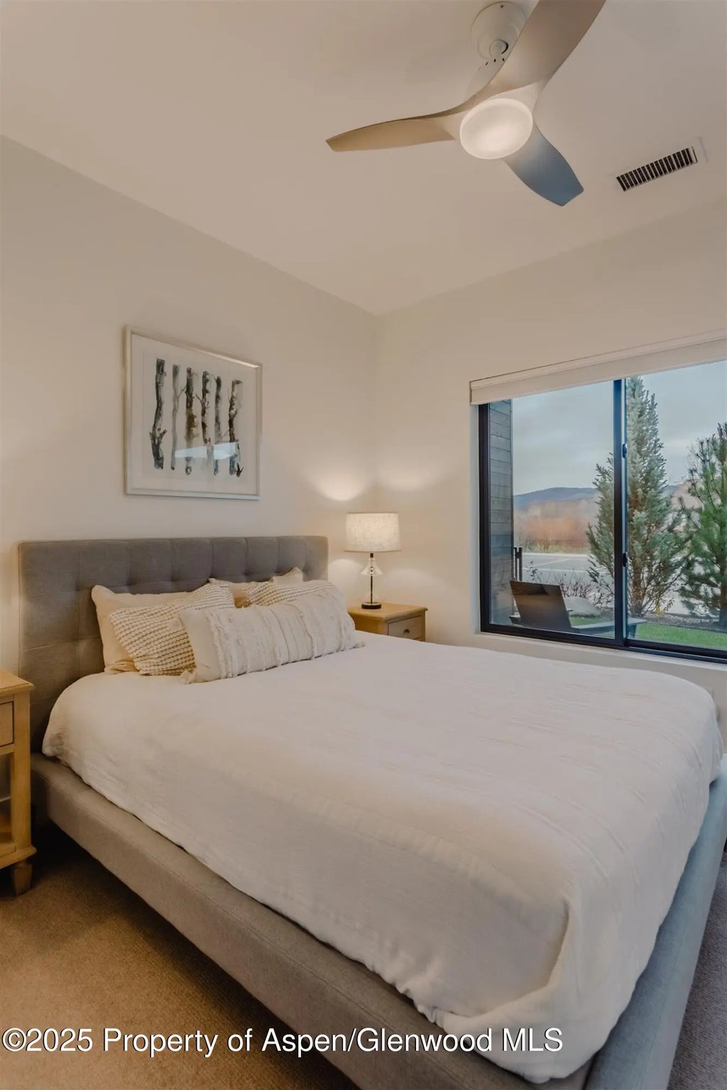 44 of 62 - 220 E Lewis Lane, Basalt, CO