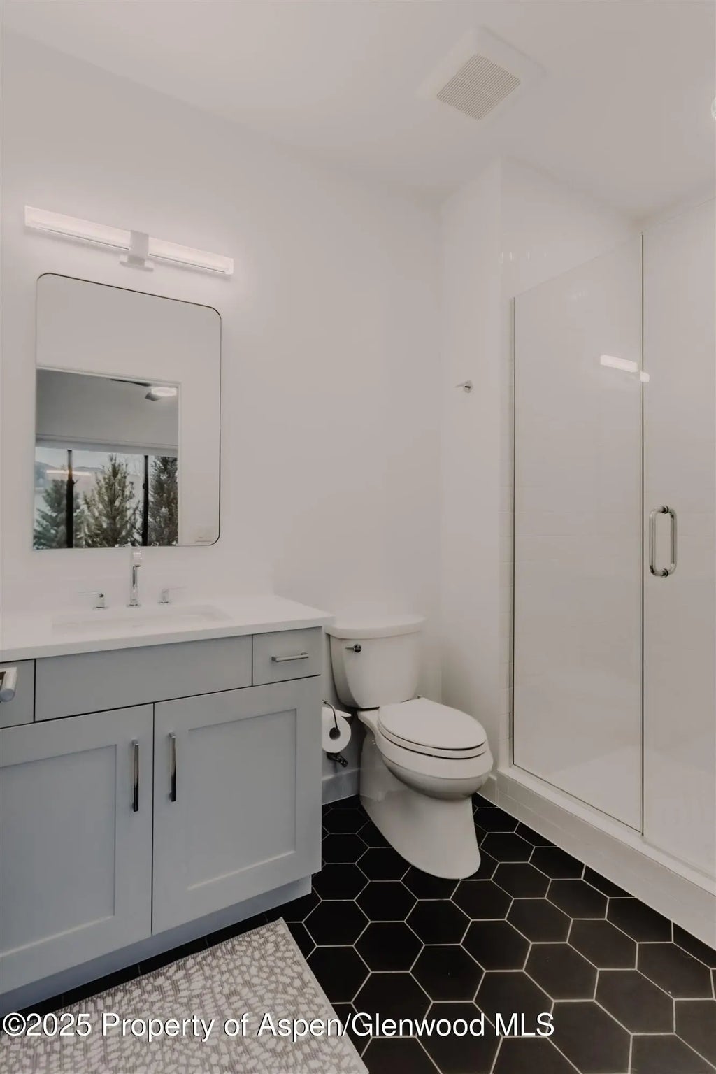 45 of 62 - 220 E Lewis Lane, Basalt, CO