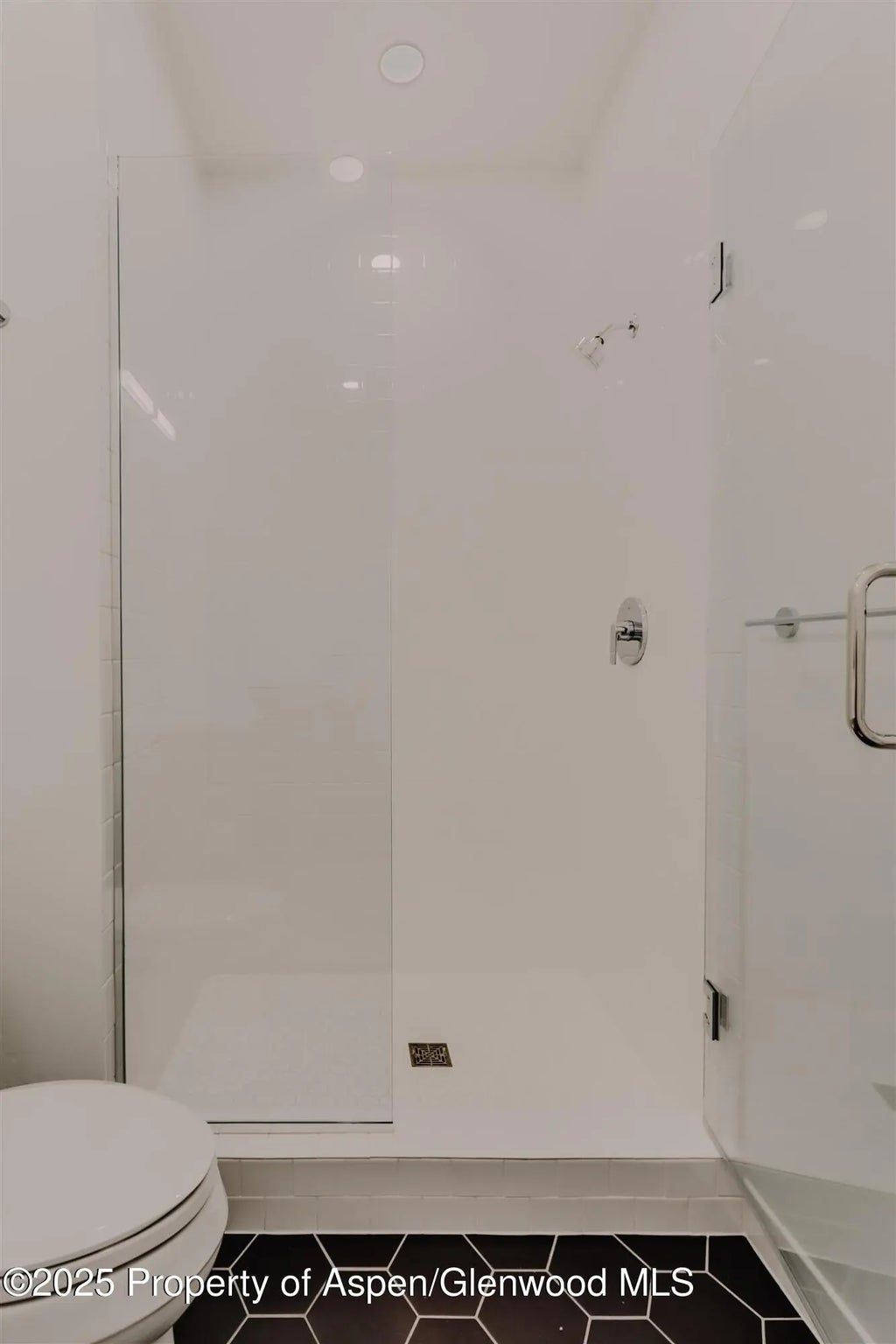 47 of 62 - 220 E Lewis Lane, Basalt, CO