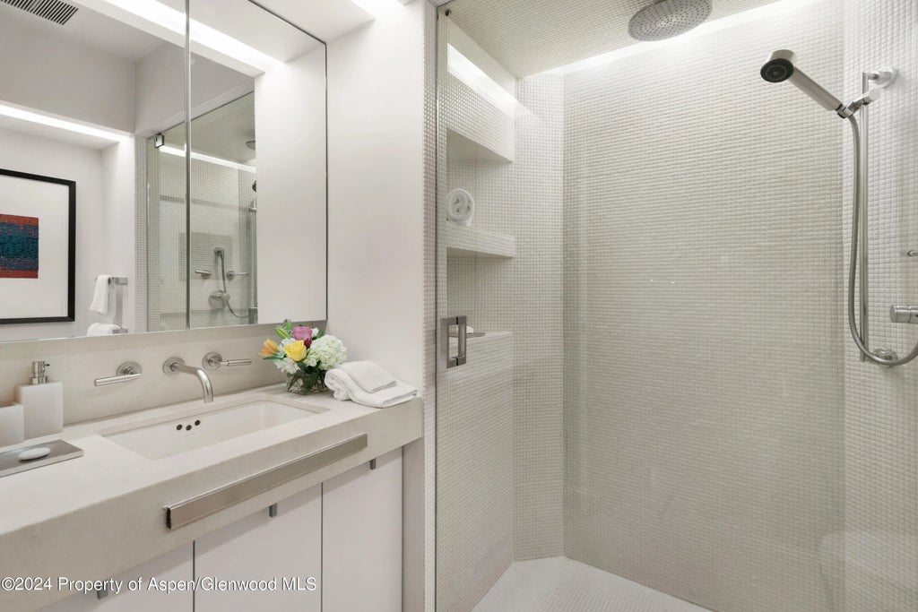 26 of 42 - 821 Cluny Road, Aspen, CO