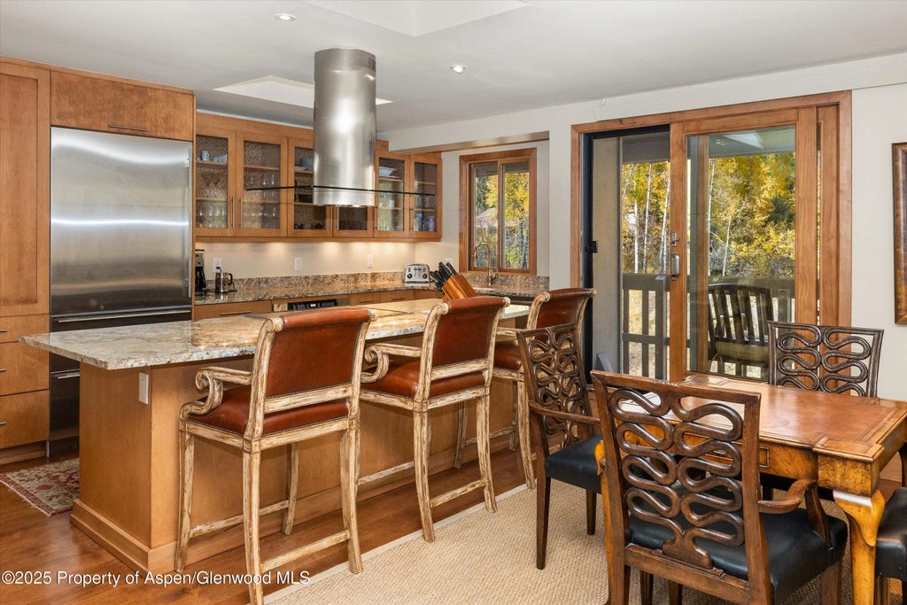 10 of 24 - 1020 E Hopkins Avenue 9, Aspen, CO