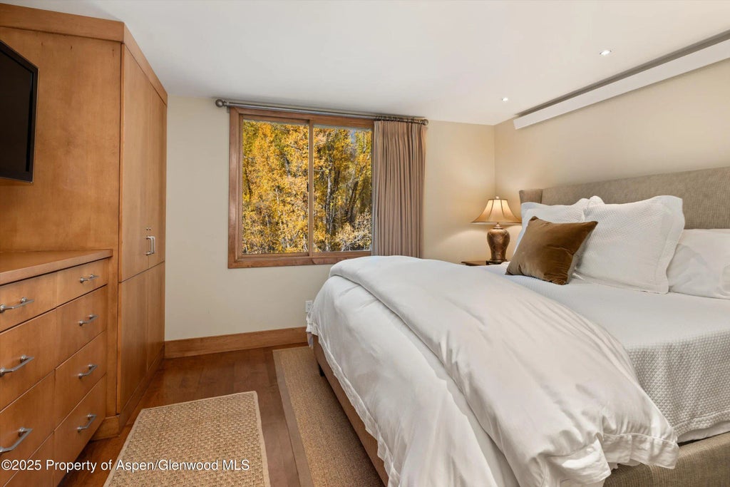 12 of 24 - 1020 E Hopkins Avenue 9, Aspen, CO