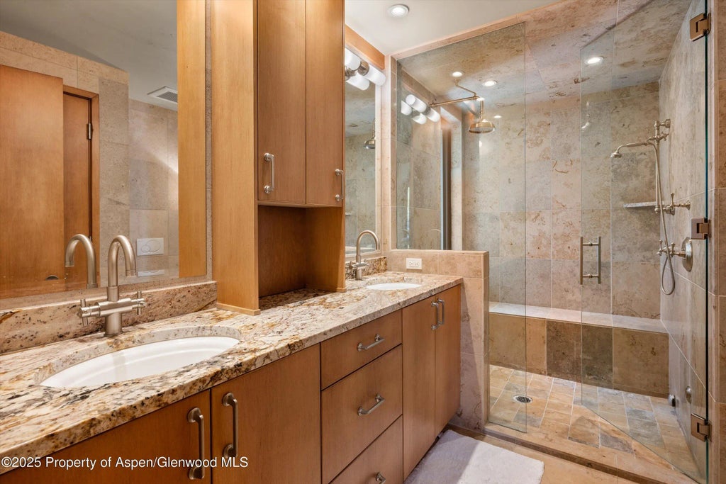 13 of 24 - 1020 E Hopkins Avenue 9, Aspen, CO