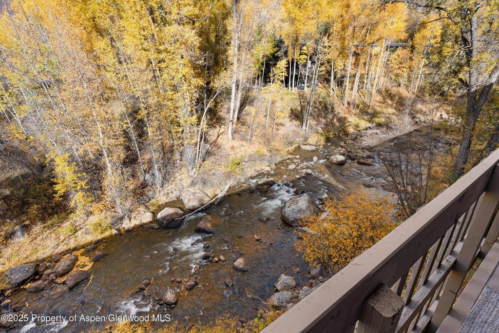 17 of 24 - 1020 E Hopkins Avenue 9, Aspen, CO