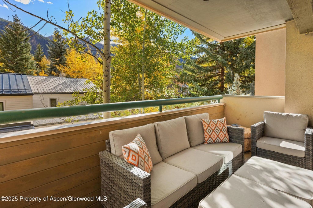 18 of 24 - 1020 E Hopkins Avenue 9, Aspen, CO