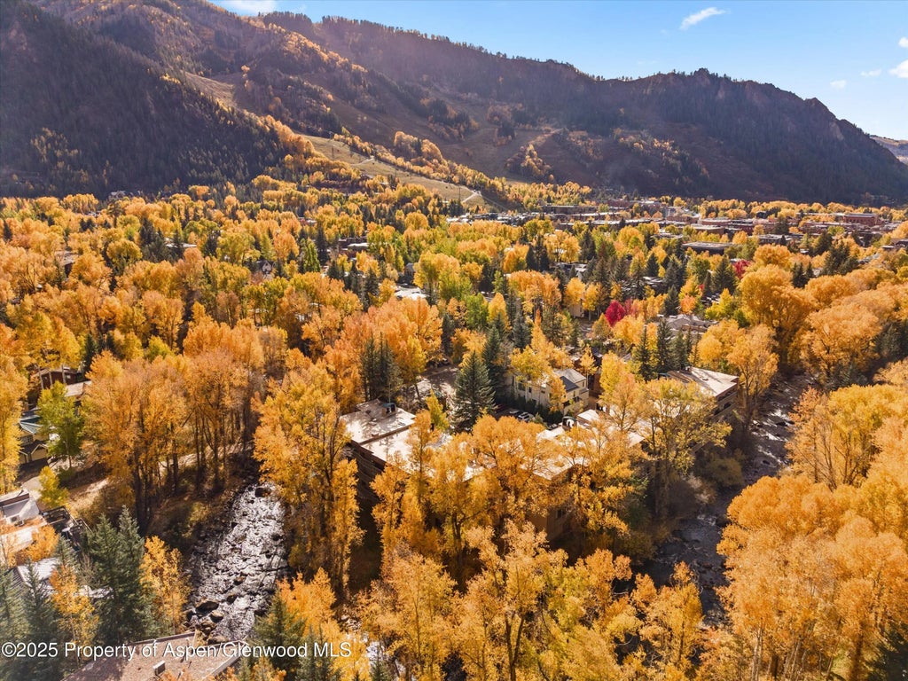 21 of 24 - 1020 E Hopkins Avenue 9, Aspen, CO