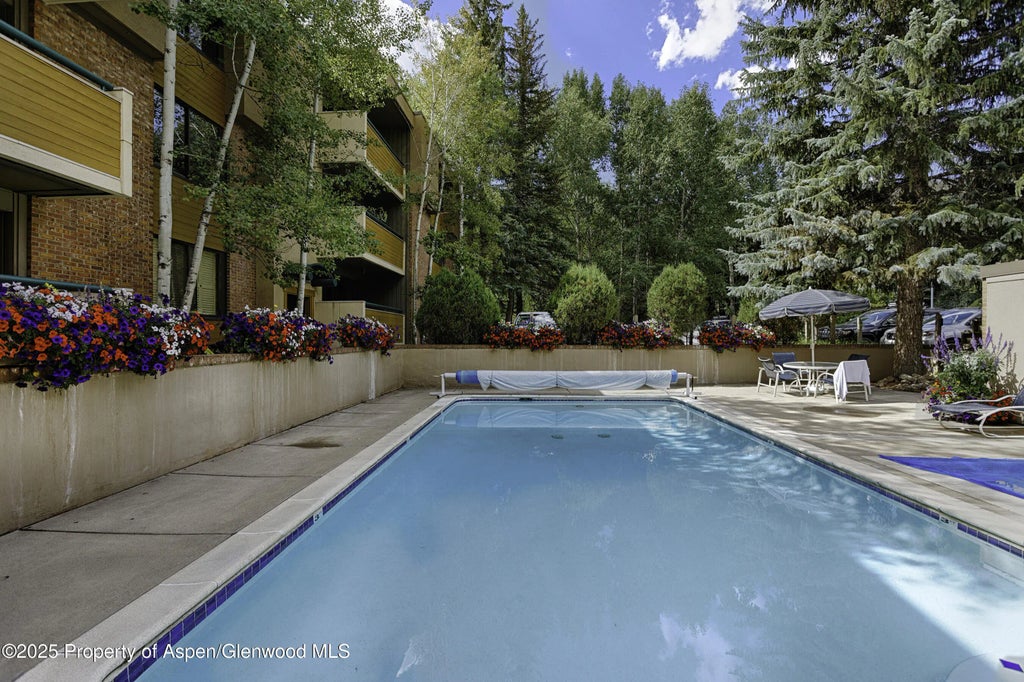 23 of 24 - 1020 E Hopkins Avenue 9, Aspen, CO