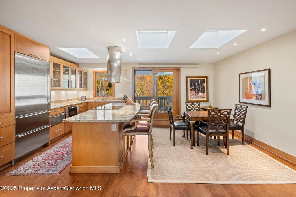 8 of 24 - 1020 E Hopkins Avenue 9, Aspen, CO