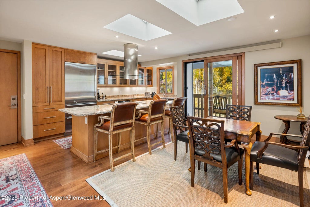 9 of 24 - 1020 E Hopkins Avenue 9, Aspen, CO