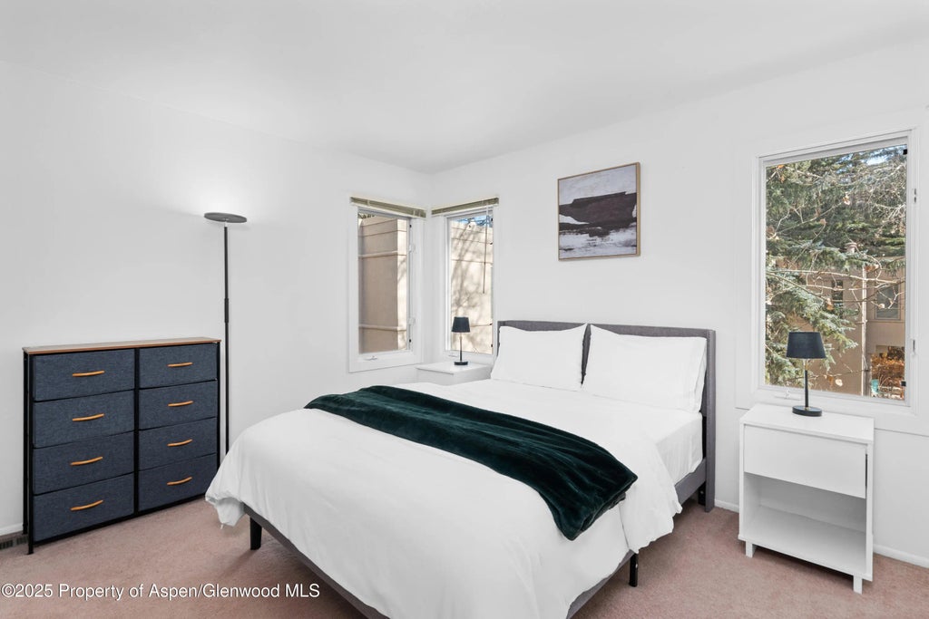 14 of 20 - 814 W Bleeker Street C-1, Aspen, CO