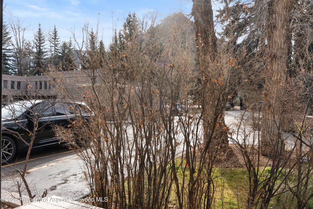 6 of 20 - 814 W Bleeker Street C-1, Aspen, CO