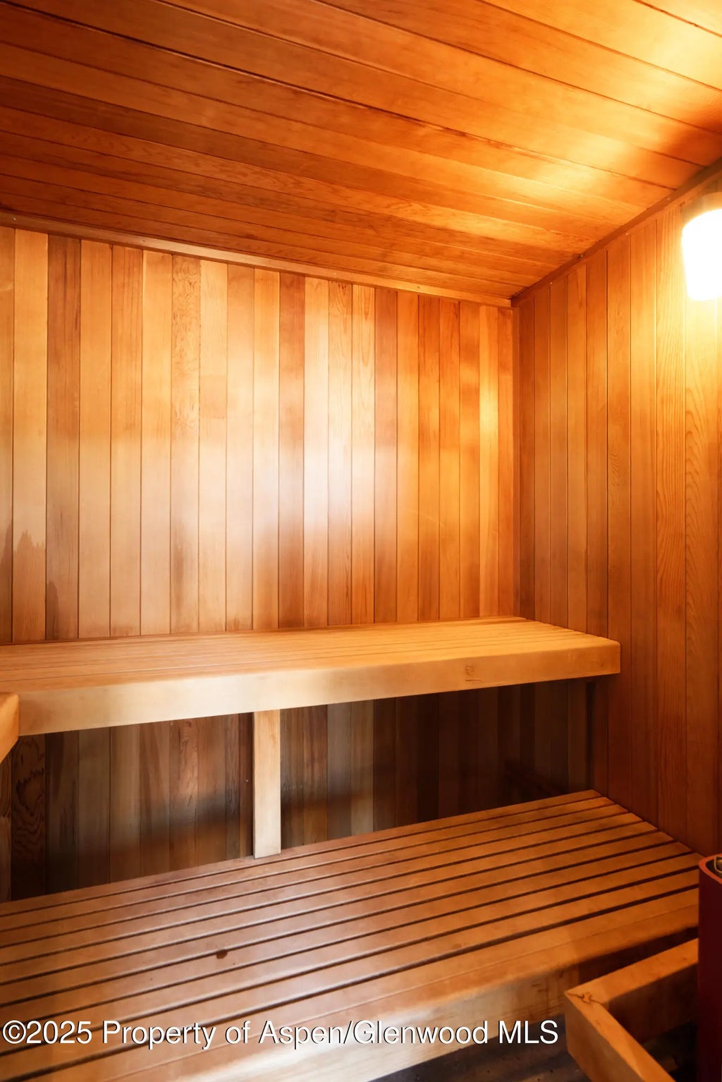 22 of 26 - 600 Carriage Way L-6, Snowmass Village, CO