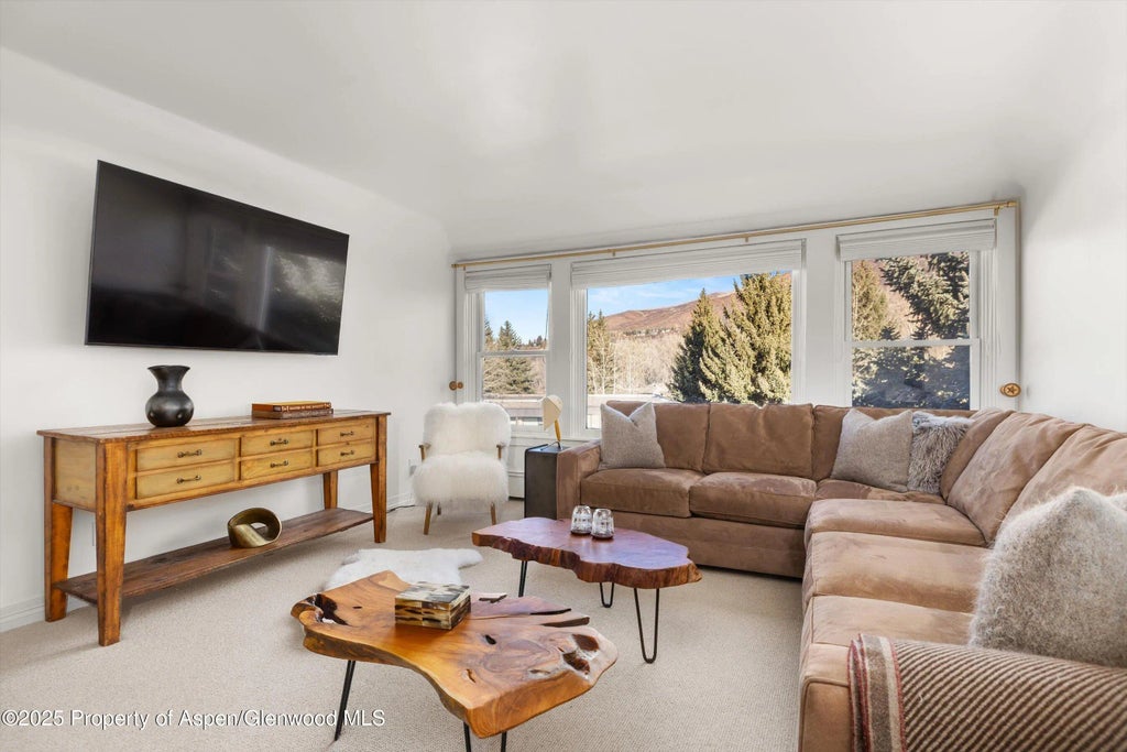 1041 Vine Street, Aspen