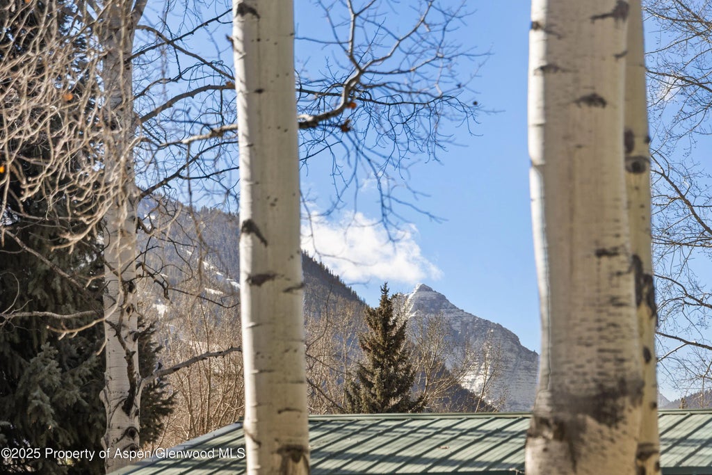 33 of 36 - 824 Bonita Drive, Aspen, CO