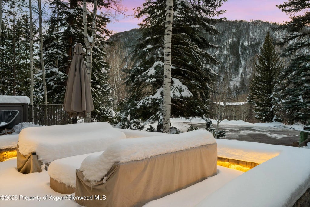 16 of 31 - 1345 Mayflower Court, Aspen, CO