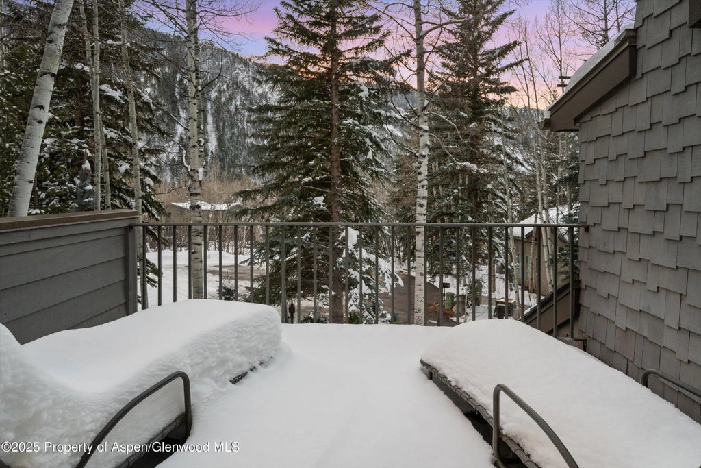22 of 31 - 1345 Mayflower Court, Aspen, CO