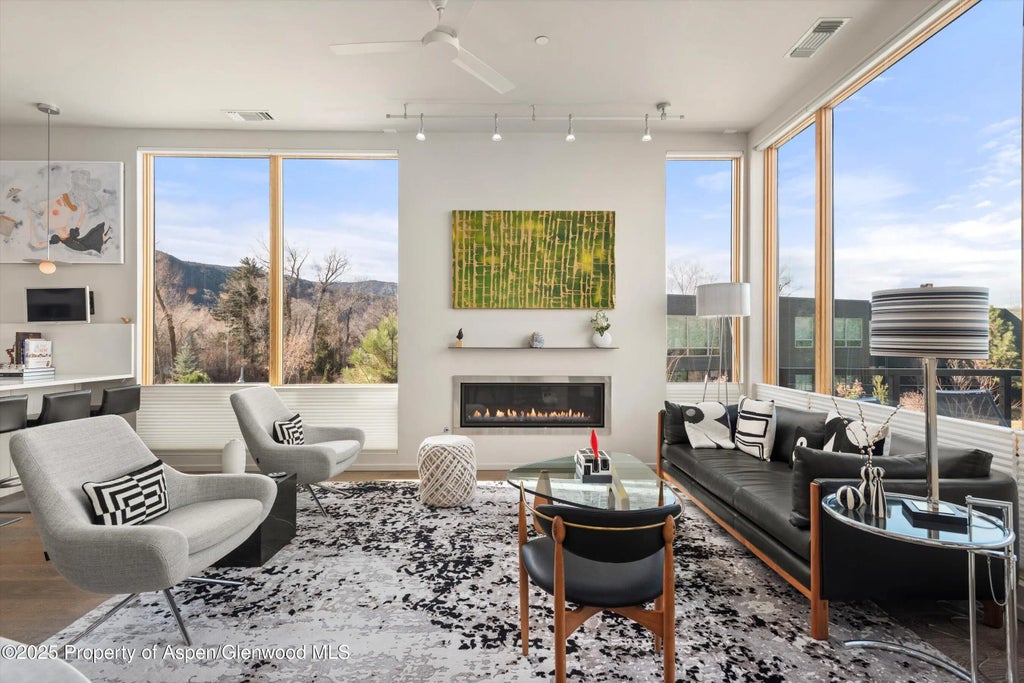 1 of 24 - 103 Willits Way 204, Basalt, CO