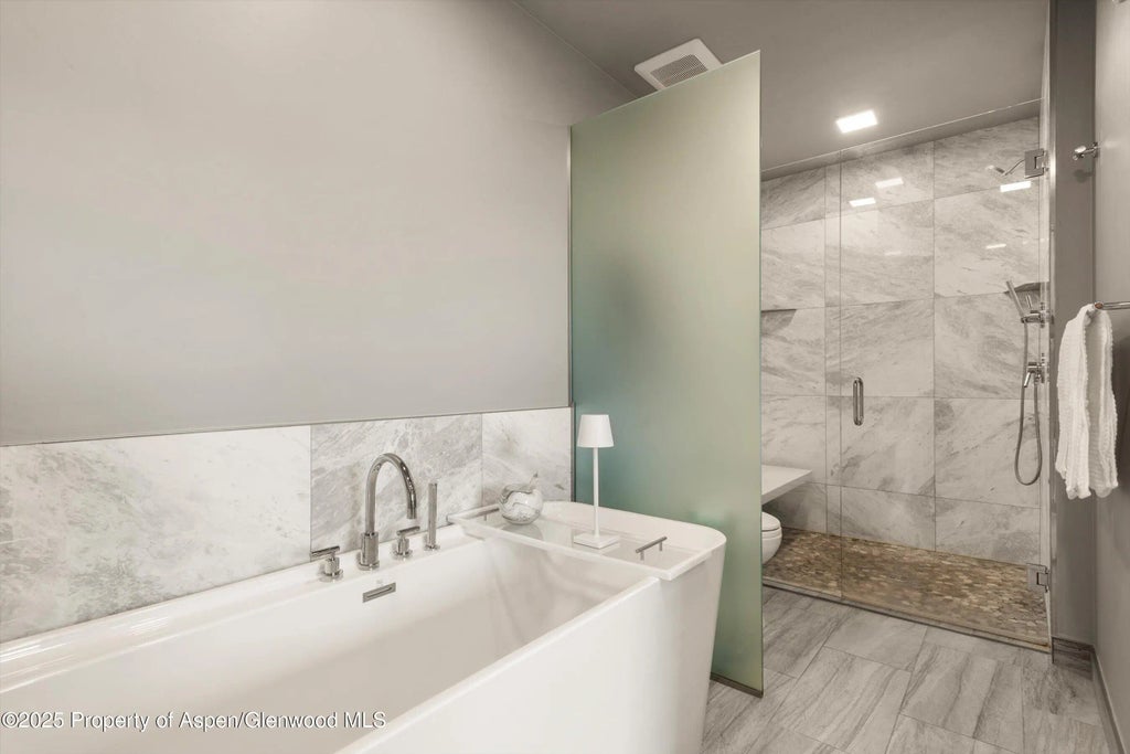 15 of 24 - 103 Willits Way 204, Basalt, CO