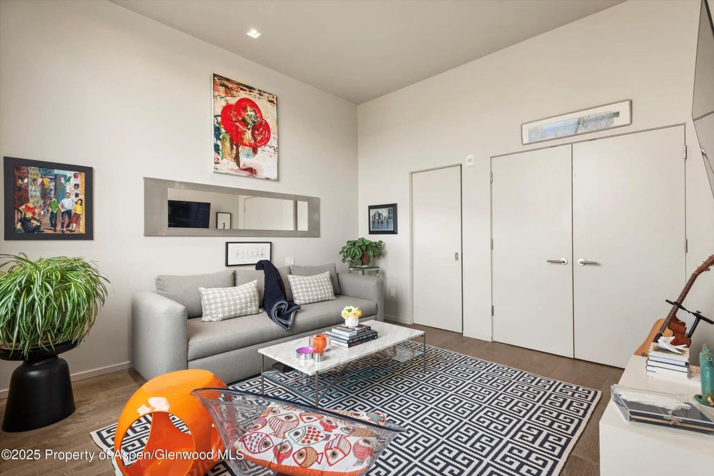 17 of 24 - 103 Willits Way 204, Basalt, CO