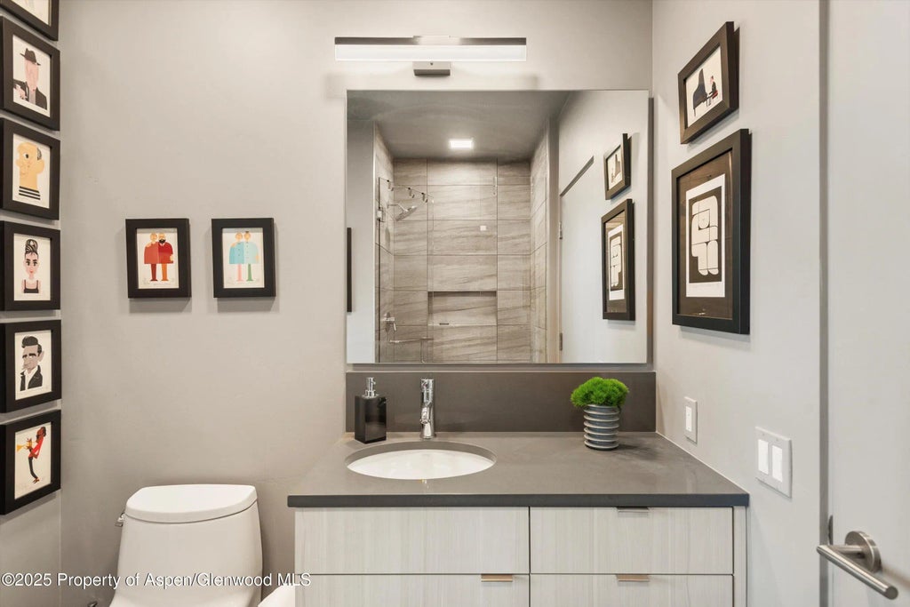 18 of 24 - 103 Willits Way 204, Basalt, CO