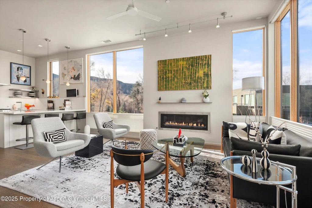 6 of 24 - 103 Willits Way 204, Basalt, CO