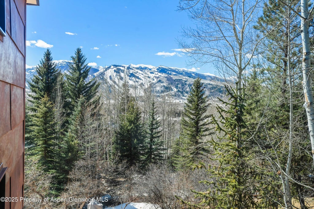 27 of 50 - 62 Bennett Court, Aspen, CO