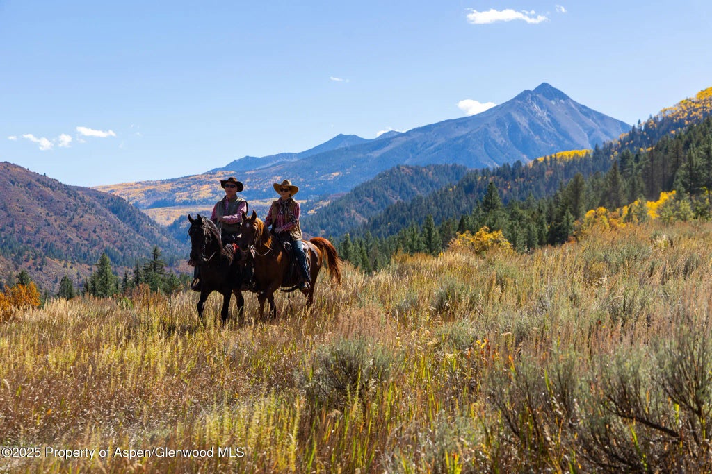 47 of 55 - 30682 County Road 12, Somerset, CO