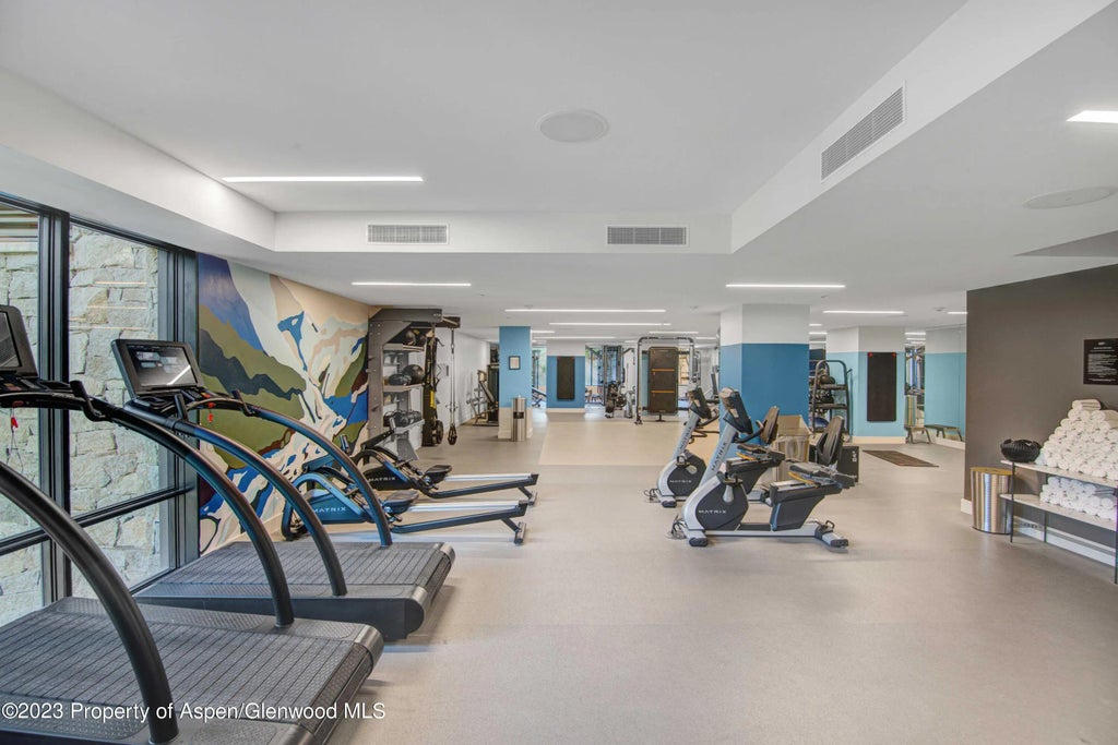 41 of 46 - 119 Wood Road 107, Snowmass Village, CO