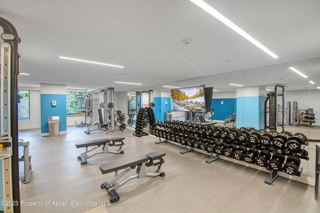 43 of 46 - 119 Wood Road 107, Snowmass Village, CO