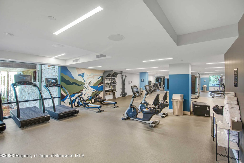 45 of 46 - 119 Wood Road 107, Snowmass Village, CO