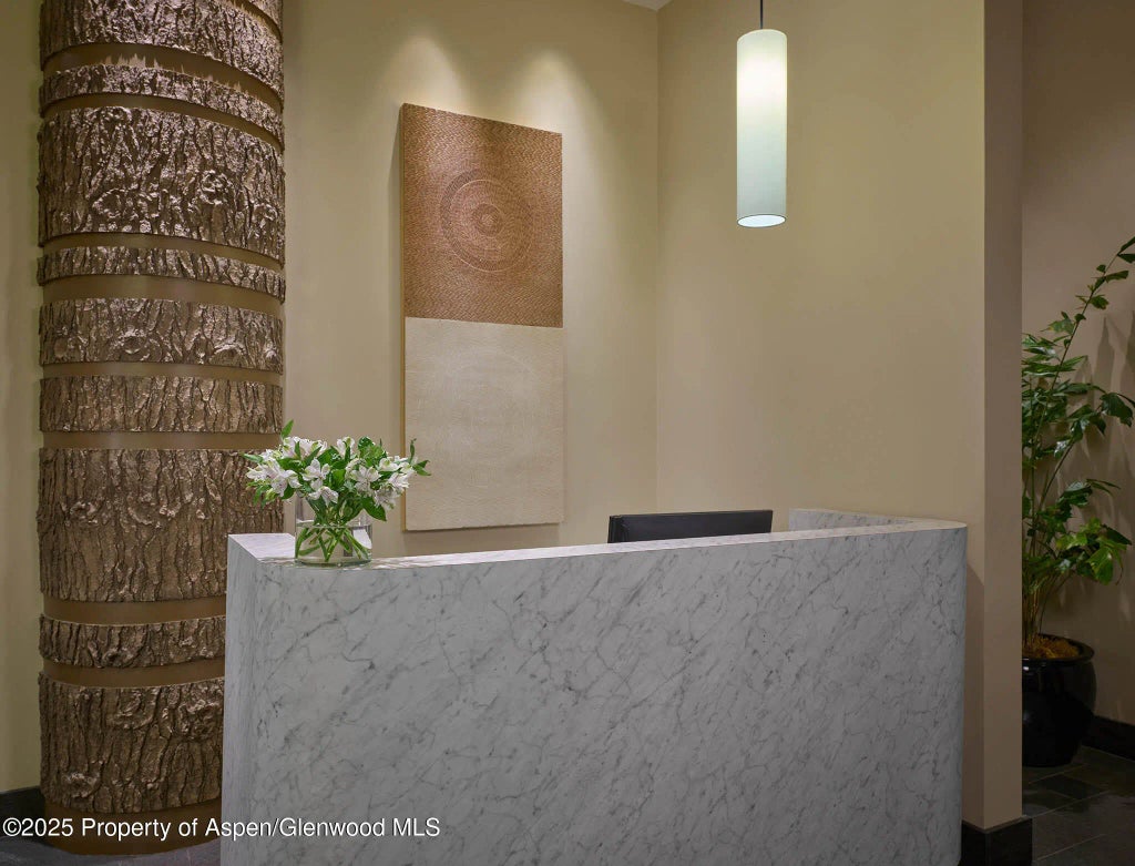 24 of 25 - 130 Wood Road 530, Snowmass Village, CO