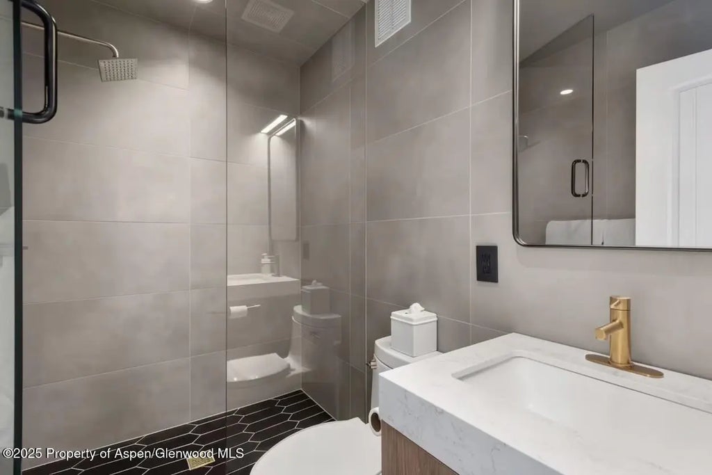 13 of 15 - 835 E Hyman Avenue Unit D, Aspen, CO