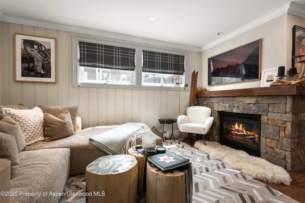 7 of 15 - 835 E Hyman Avenue Unit D, Aspen, CO