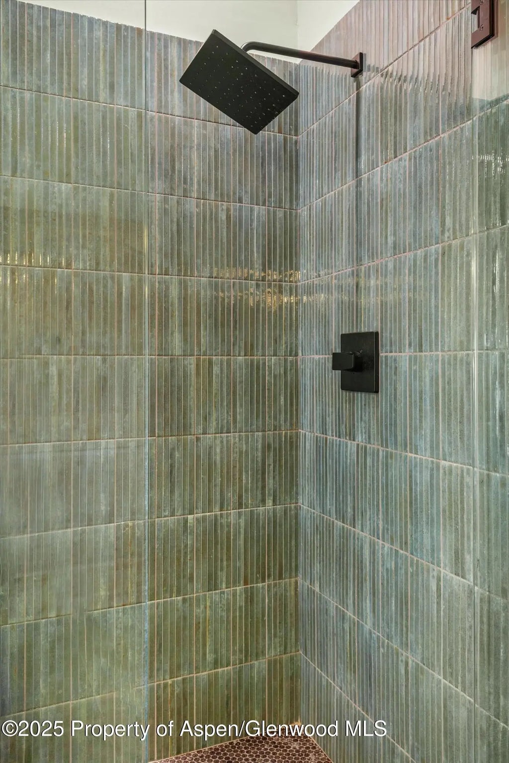 21 of 42 - 125 Co Rd 127, Glenwood Springs, CO