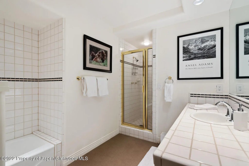 25 of 35 - 504 N 8th Street, Aspen, CO