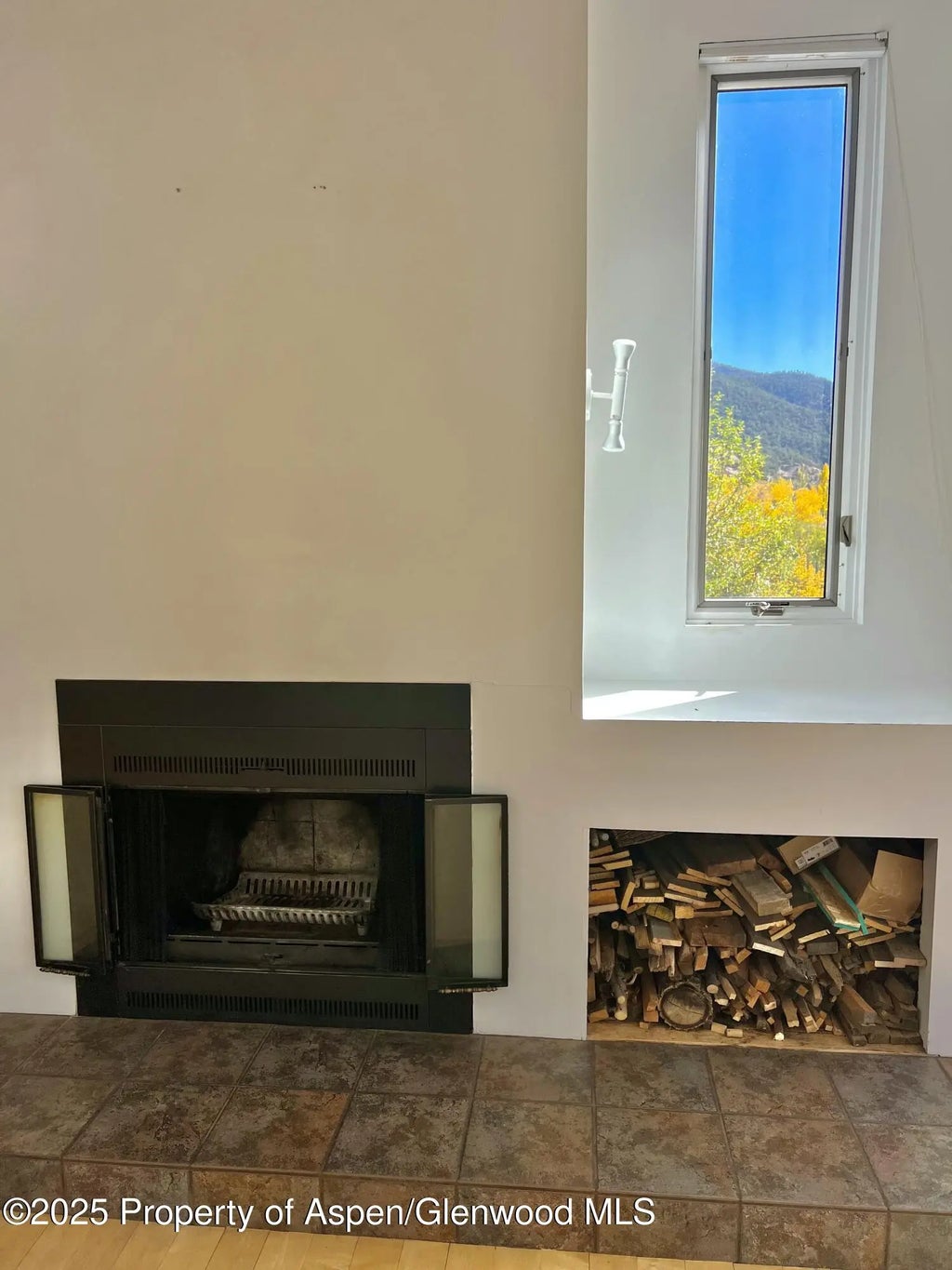 4 of 18 - 216 E Homestead Drive, Basalt, CO