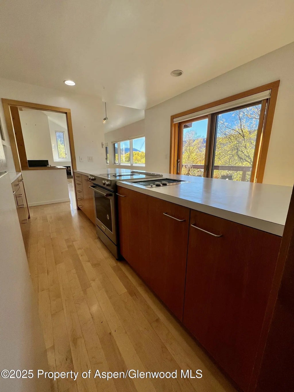 5 of 18 - 216 E Homestead Drive, Basalt, CO