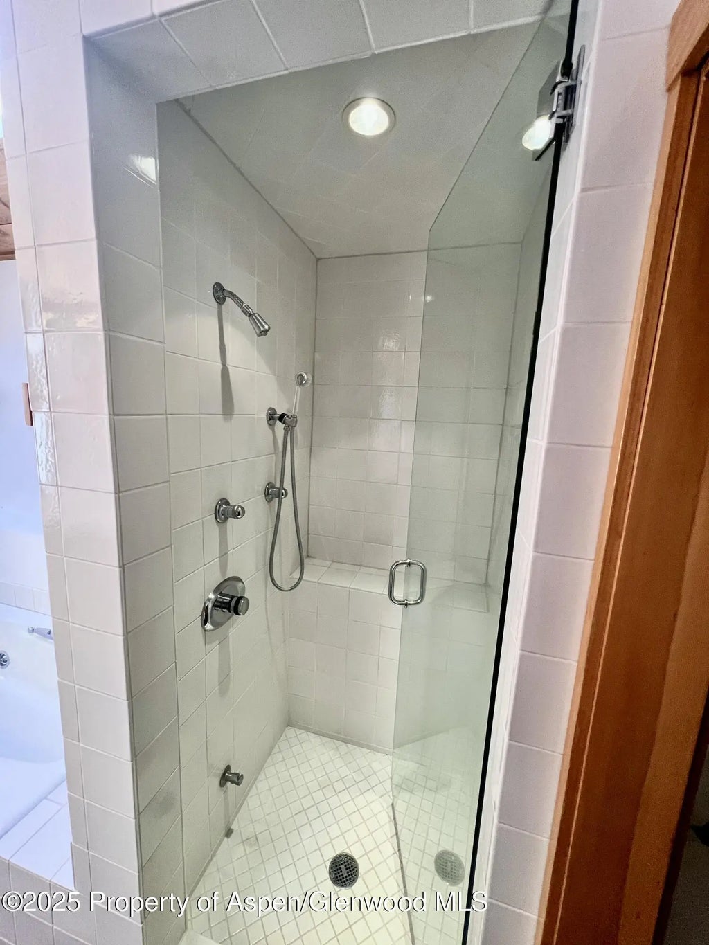 7 of 18 - 216 E Homestead Drive, Basalt, CO