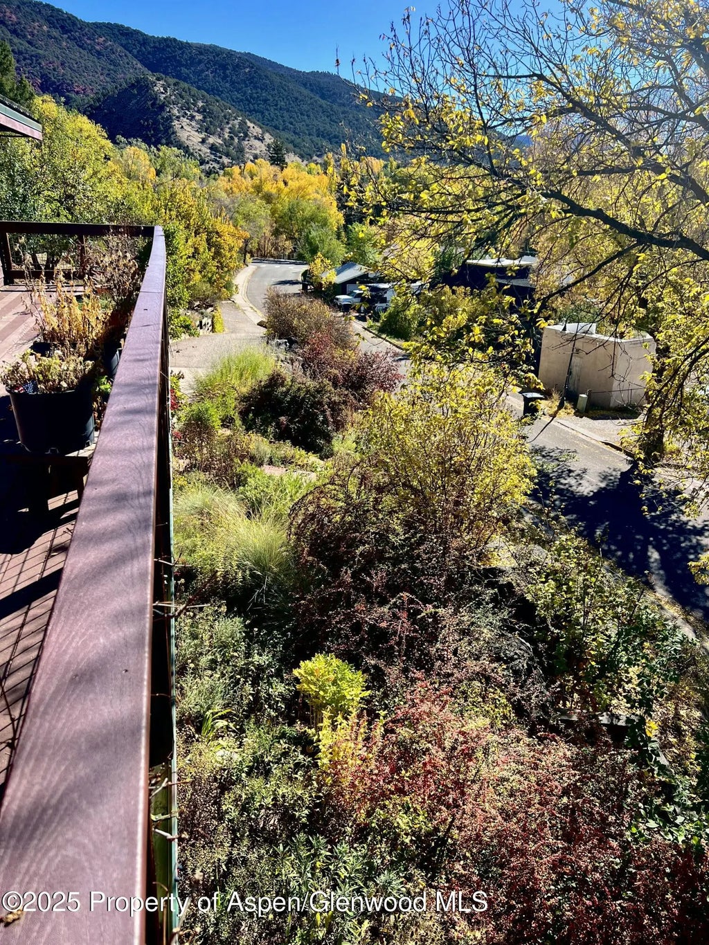 9 of 18 - 216 E Homestead Drive, Basalt, CO