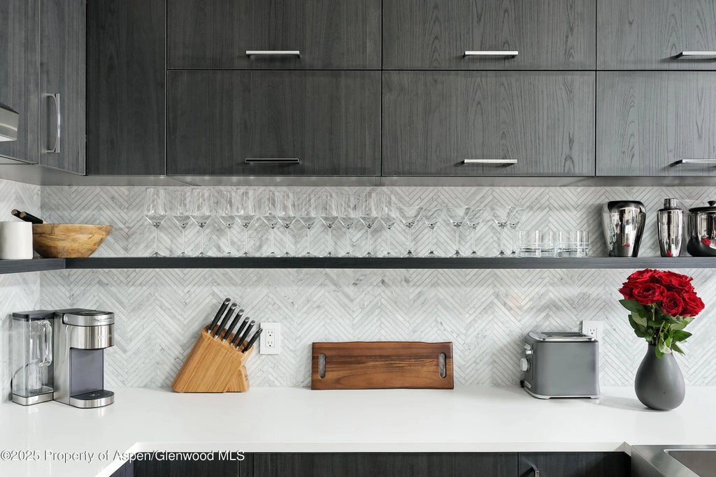 10 of 19 - 450 S Original Street 8, Aspen, CO