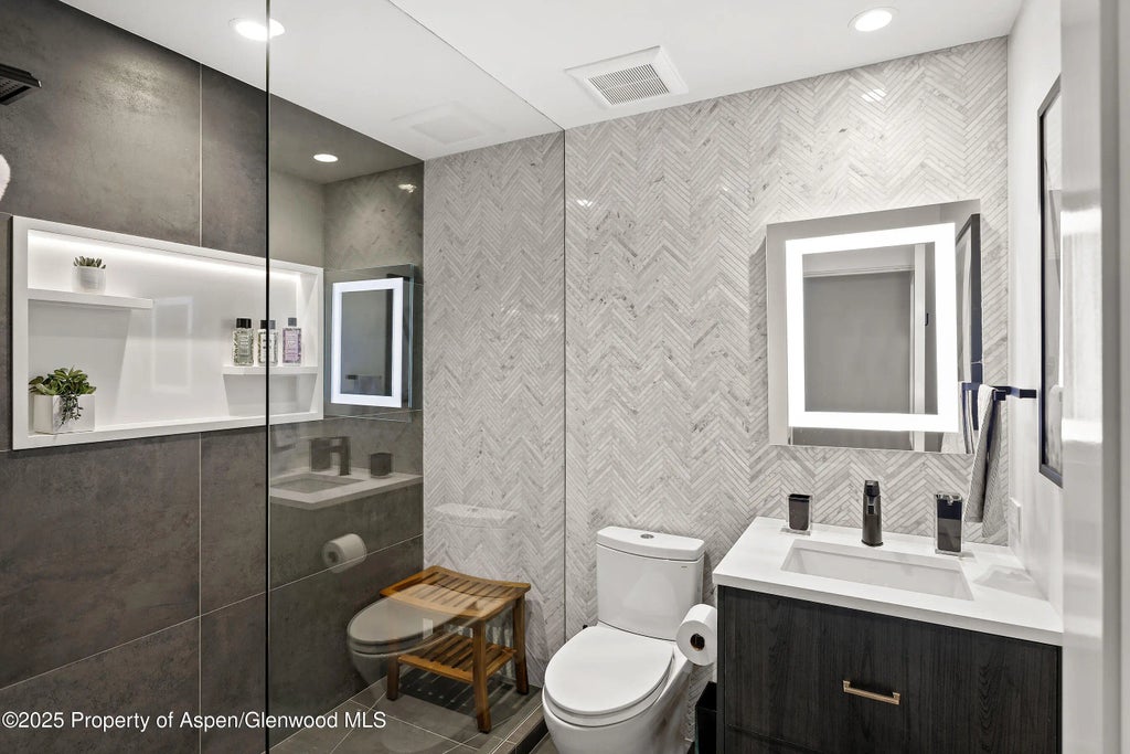 16 of 19 - 450 S Original Street 8, Aspen, CO